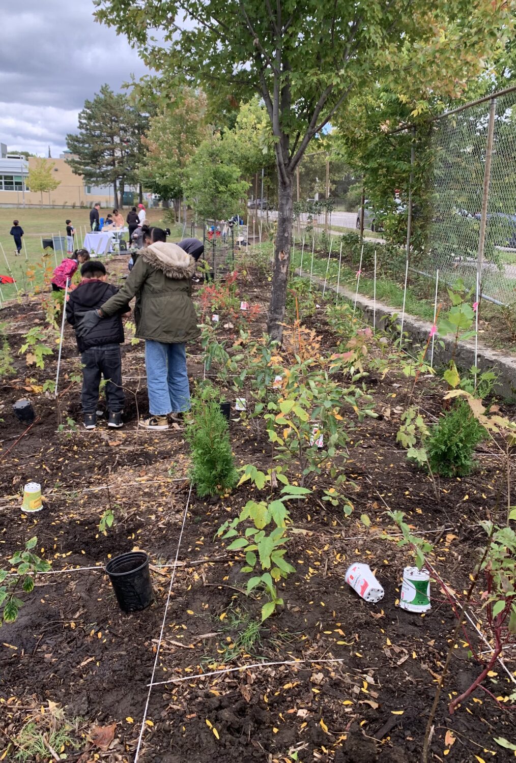 People of all ages planting the tiny forest.