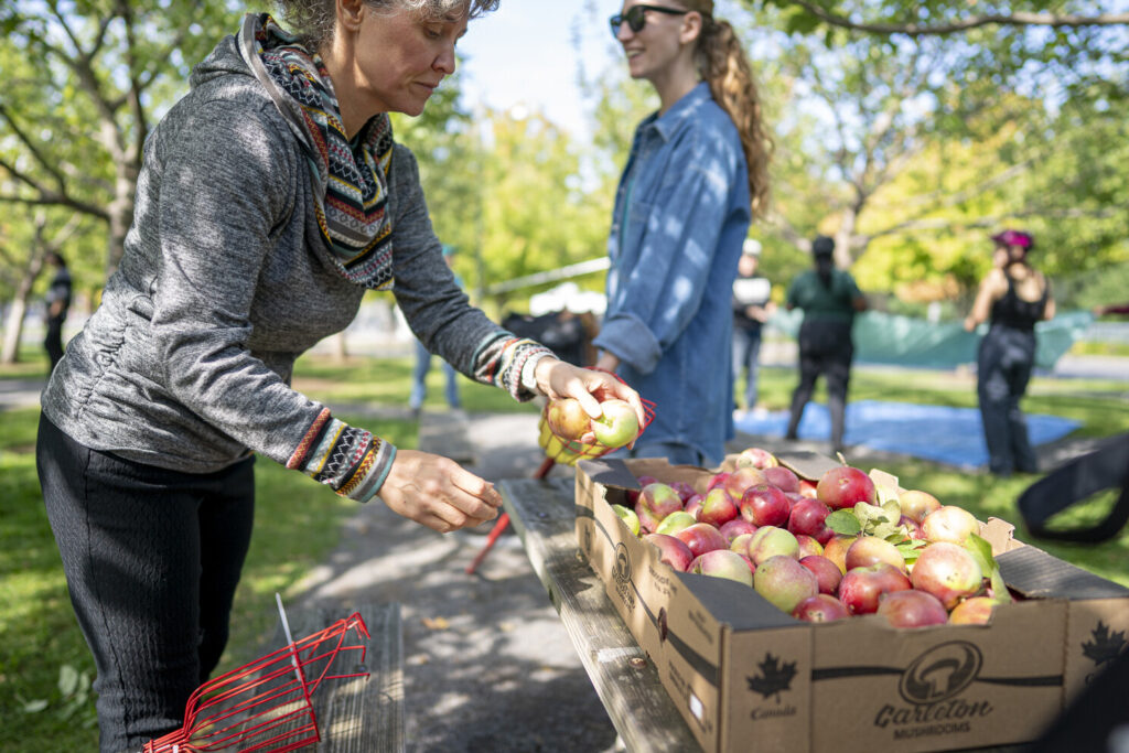 EnviroCentre's Director of Community Sustainability Programs, Andrea Flowers working at a harvest event at Lansdowne Park.