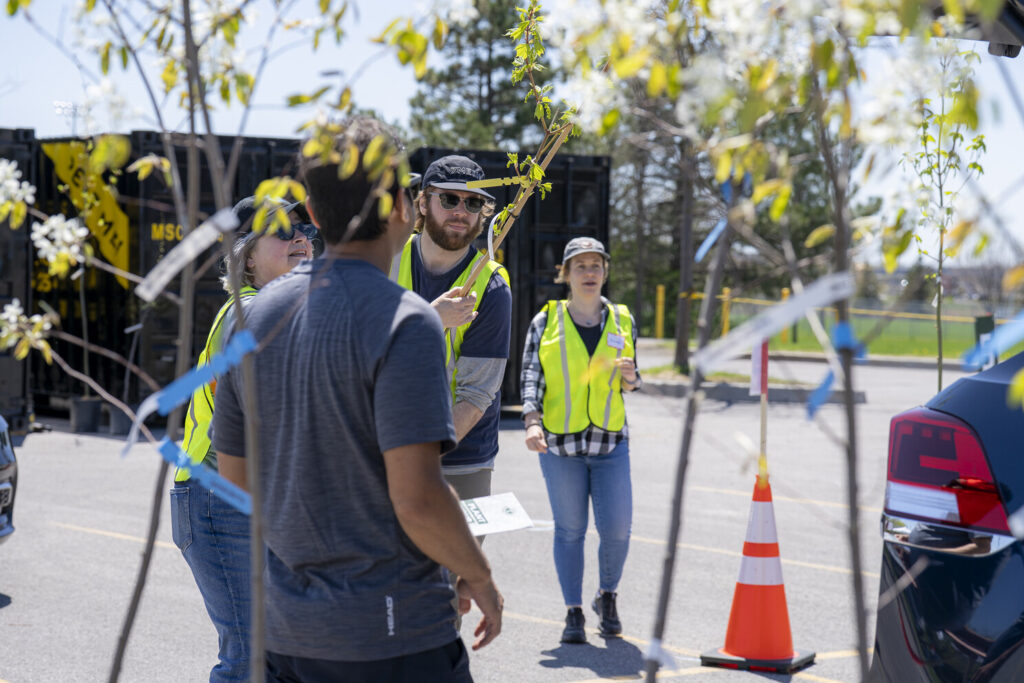 EnviroCentre staff and volunteers help load potted trees into residents vehicles.