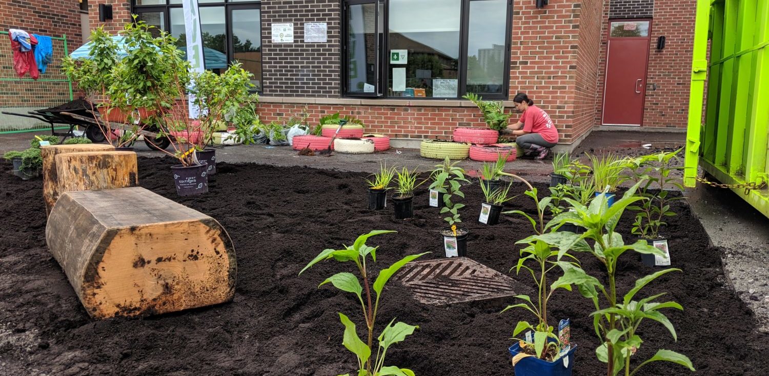 Depaving for a greener Ottawa