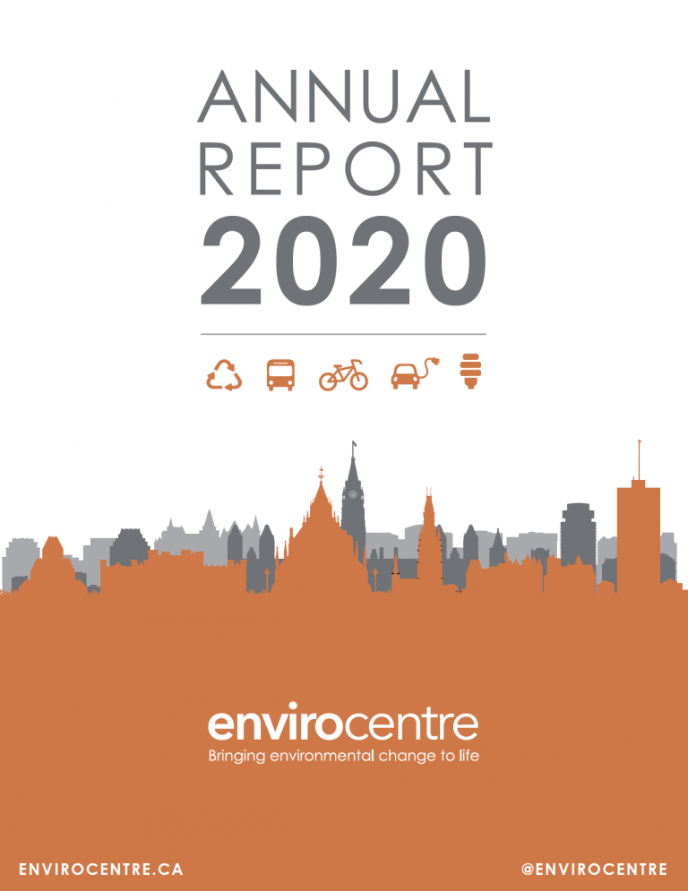 2020 Annual Report cover