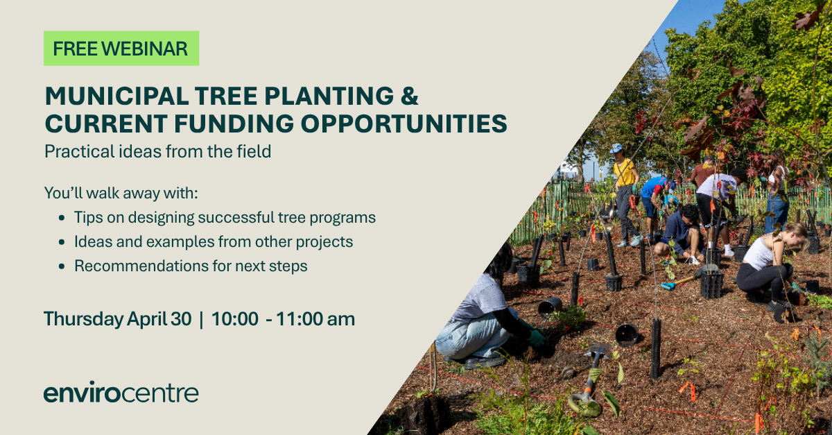 Webinar: Municipal tree planting & current funding opportunities